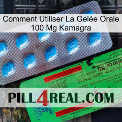 Comment Utiliser La Gelée Orale 100 Mg Kamagra new03